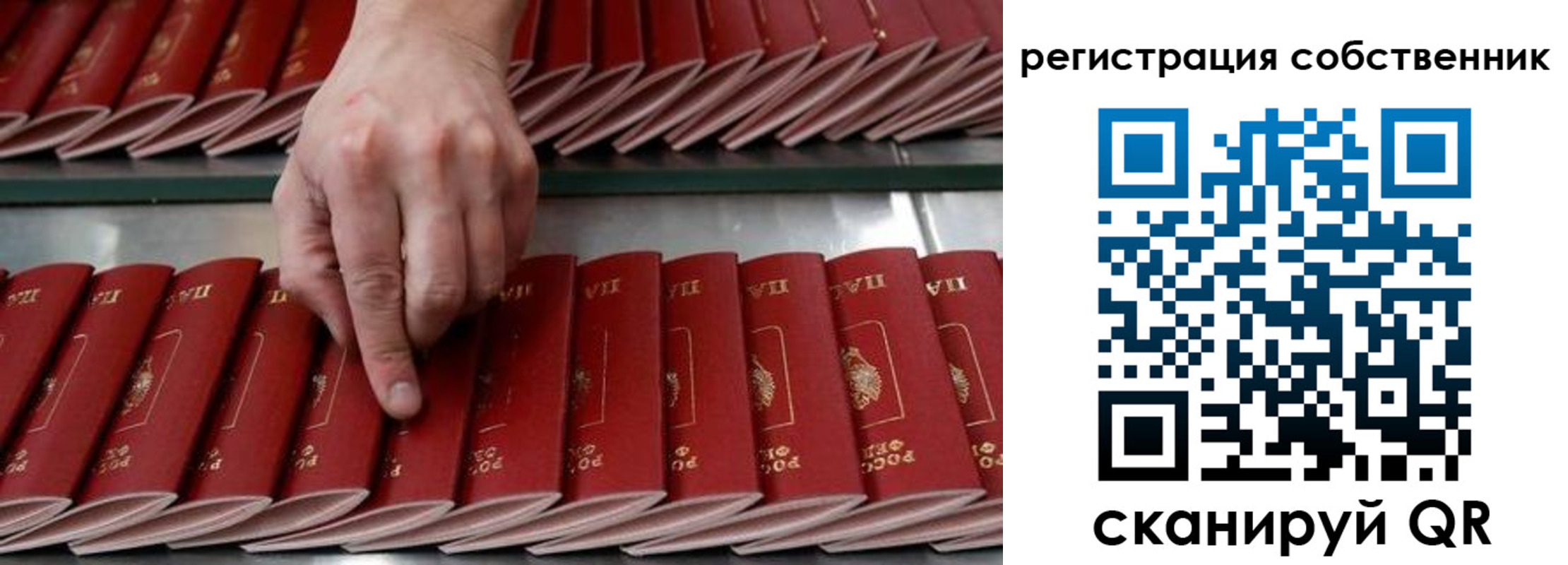 прописка ребенка в Советском